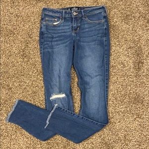 Hollister jeans